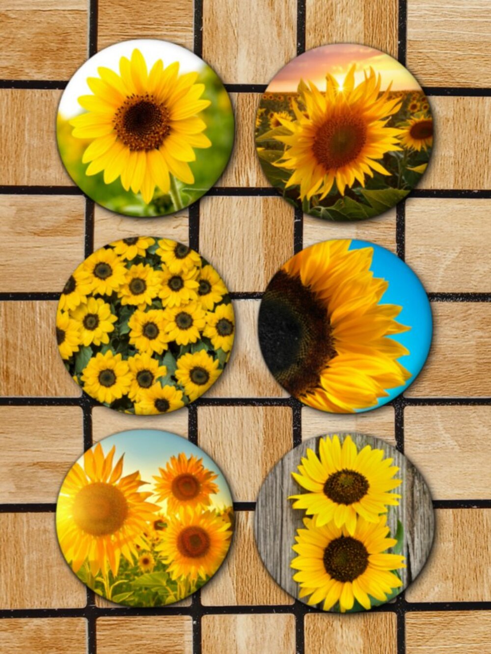 Sunflower Fridge Magnets Set Of 6 Metal Magnets For Home Office Kitchen School